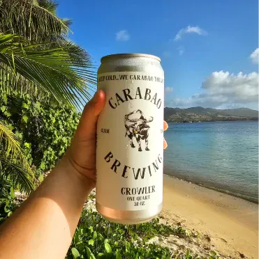 A Carabao crowler held up against a Guam beach (Instagram, opens in a new tab)